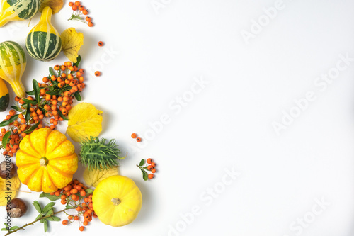 Autumn background of ripe pumpkins  rowan berries and leaves on a white background with place for text. Harvest concept  Thanksgiving.