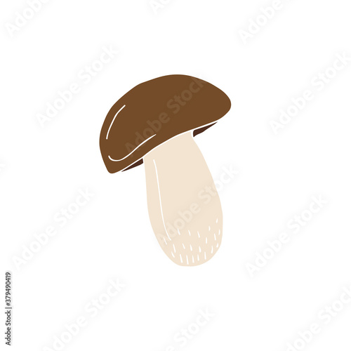 Vector hand drawn doodle sketch colored King bolote cep mushroom isolated on white background