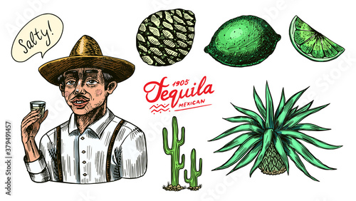 Agave fruits, lemon and cactus. Farmer in a hat with a shot of tequila. Engraved hand drawn vintage sketch. Woodcut style. Vector illustration for menu or poster.