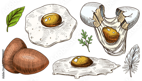 Eggs and scrambled omelette, farm product. Engraved hand drawn vintage sketch. Woodcut style. Vector illustration for menu or poster.