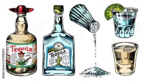 Tequila bottles and salt shaker. Glass Shots with Alcoholic Drink and Lime. Engraved hand drawn vintage sketch. Woodcut style. Vector illustration for menu or poster.