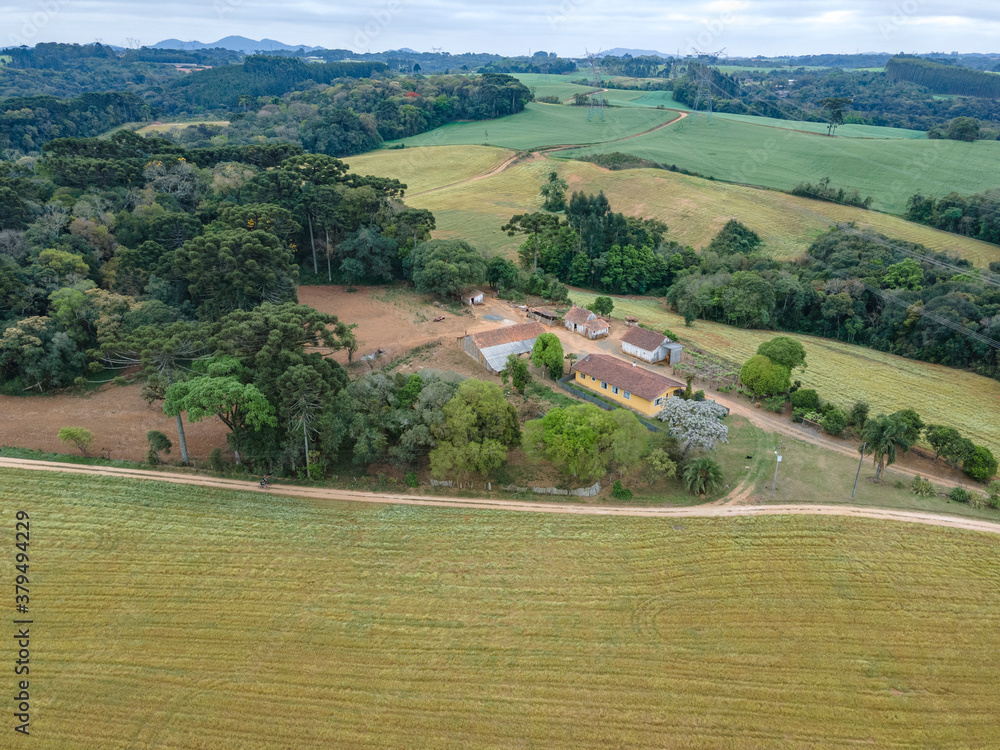 Naklejka premium Área rural de Campo Largo - Paraná