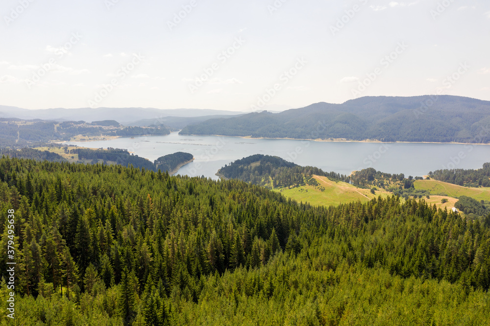 Fototapeta premium Beautiful authentic landscape, aerial view from drone. Coniferous forests on banks of Batak reservoir located in Rhodope Mountains, Bulgaria. Attracts many tourists, fishermen and hunters. Travel 