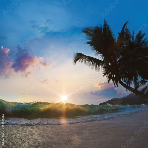 Tropical sandy beach with shorebreak line and coconut palm trees at the sunset time