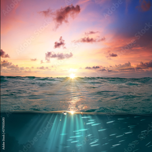 Fototapeta Naklejka Na Ścianę i Meble -  Tropical carribean sunset beautiful cloudy sky design template. Sea water with sunrays and silver fish under waterline