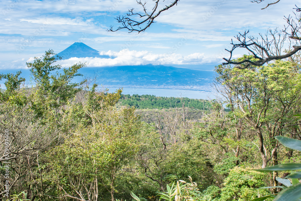 【静岡県伊豆半島】秋の高原風景【伊豆山稜線歩道・富士山】