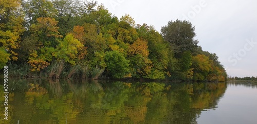 autumn in the park