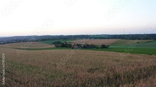 Farm in the middle of a corn field. Shot was captured during golden hour with the DJI Mavic Pro 2. photo