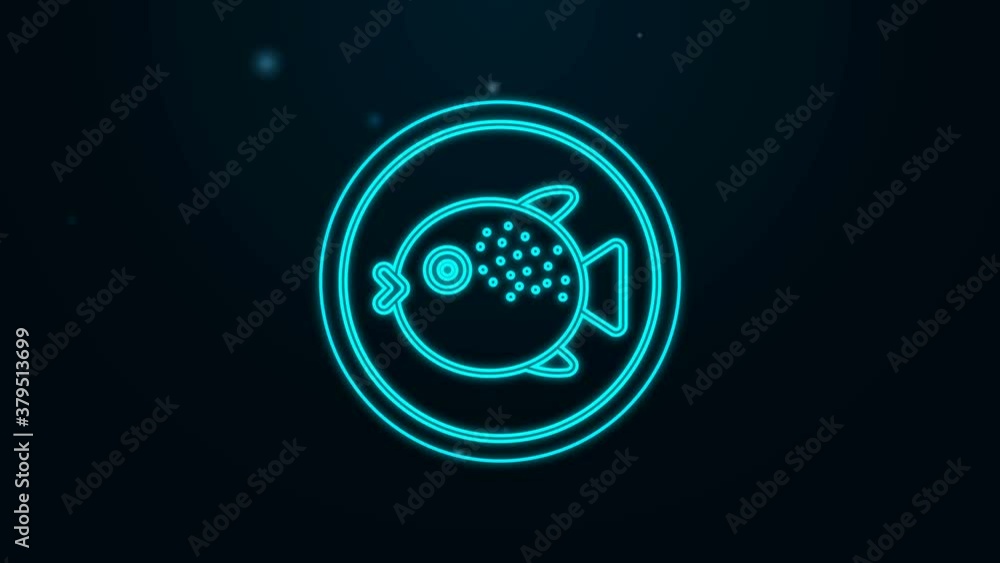 Glowing neon line Puffer fish on a plate icon isolated on black background. Fugu fish japanese puffer fish. 4K Video motion graphic animation Glowing neon line Puffer fish on a plate icon isolated on black background. Fugu fish japanese puffer fish. 4K Video motion graphic animation