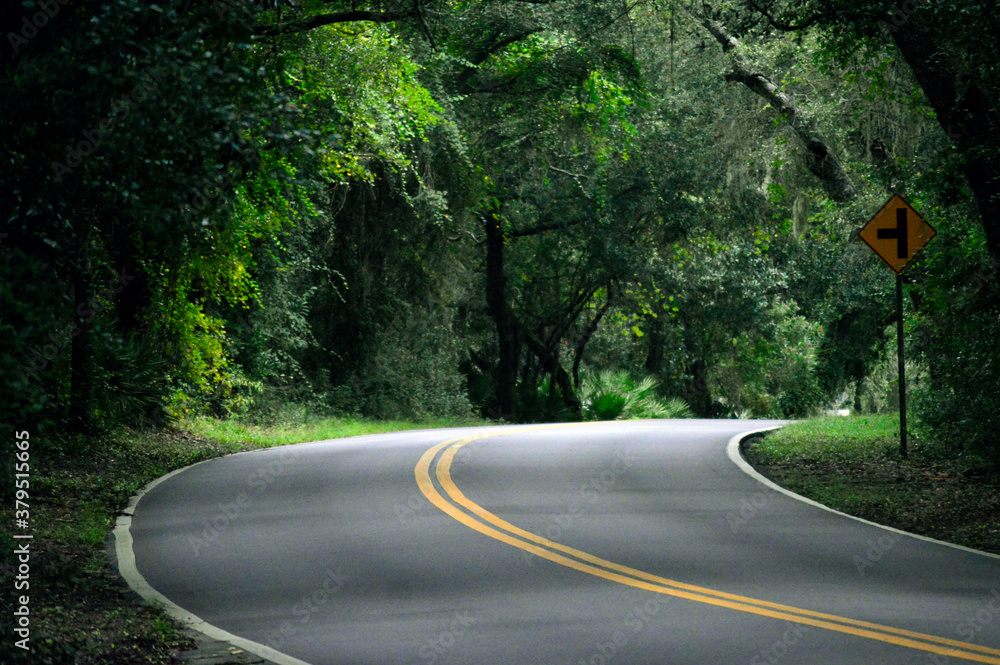 Obraz premium Beautiful, scenic road on Amelia Island in Florida