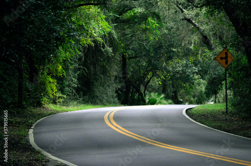 Beautiful, scenic road on Amelia Island in Florida