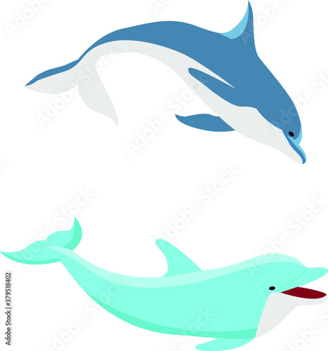dolphin jumping out of the water