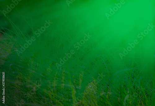 Abstract grass field background with light coming from top right corner