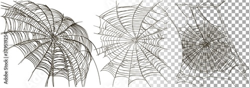 Set of different spiderwebs isolated on transparent background, easy to print. Halloween set with web. Vector Illustration.