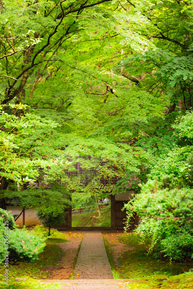 Temple of the guardian deity of Tohoku Temple of the guardian deity of Tohoku