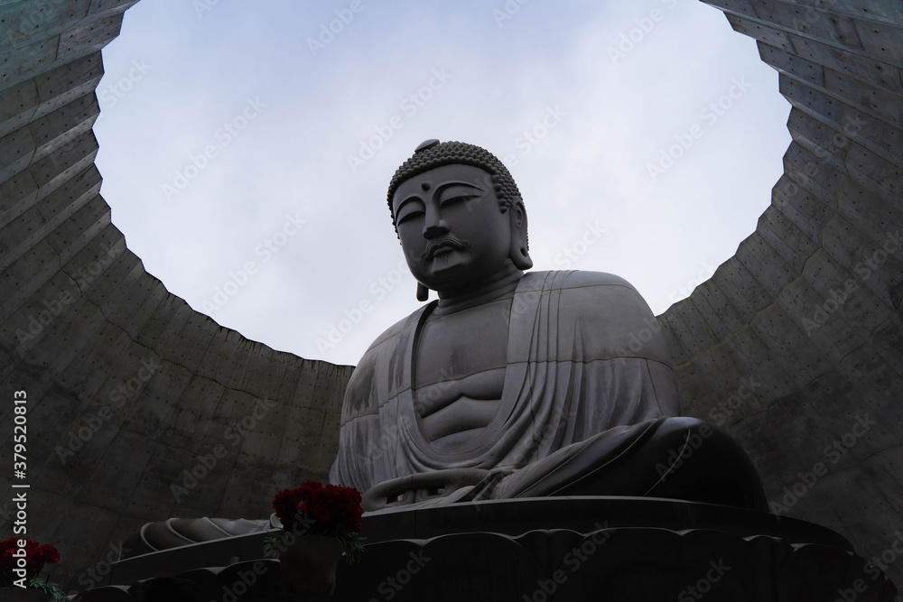 Fototapeta premium The Great Buddha that protects Sapporo