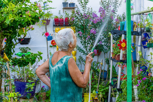 Mulher idosa cuida de molha jardim florido