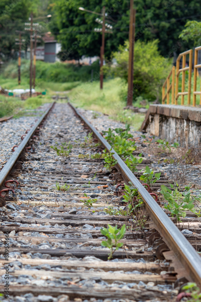 Fototapeta premium railway in the forest