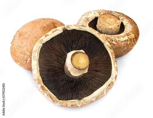 Three portobello mushrooms an isolated on white background