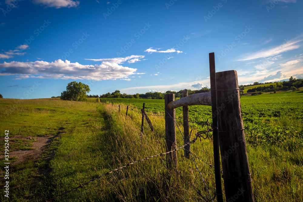 Obraz premium fence in the field