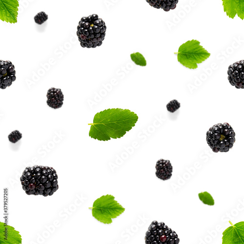 Falling Bramble Seamless pattern. Fresh Falling blackberry seamless pattern. Pattern with fresh wild berries isolated on white background.