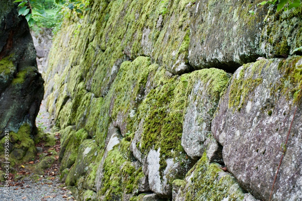 Moss on stone at Japanese castle.