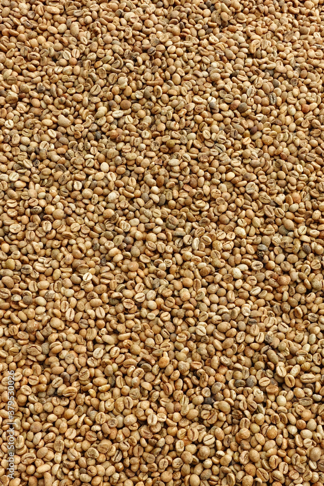 Close up of coffee beans for background Close up of coffee beans for background