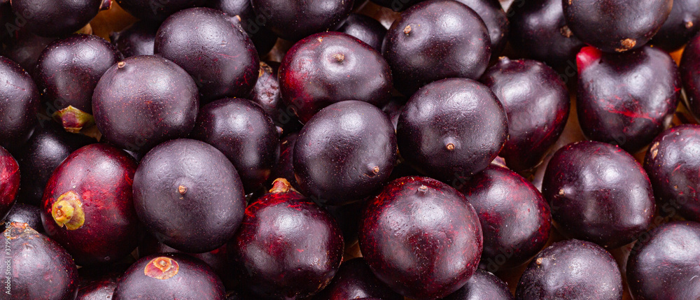 Acai fruit, fruit of Amazonian origin are attributed many medicinal