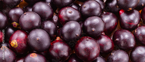 Fotografía Acai fruit, fruit of Amazonian origin are attributed many medicinal properties