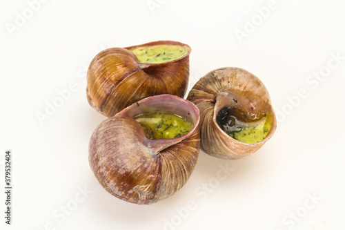 French cuisine - Escargot with sauce