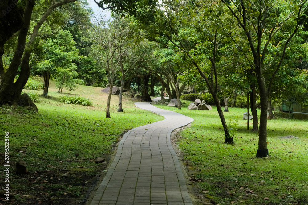 Pathway on the grassland in the park with trees.