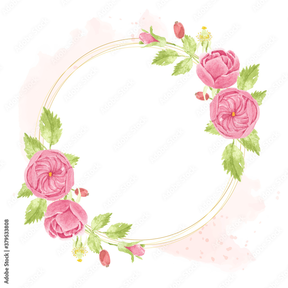 watercolor pink english rose wreath with round golden frame on pink splash background