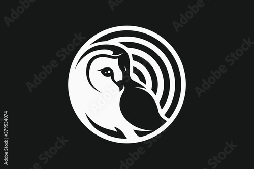 Simple Design of Barn Owl Hearing the Sound Wave