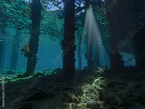 Light curtain under the jetty