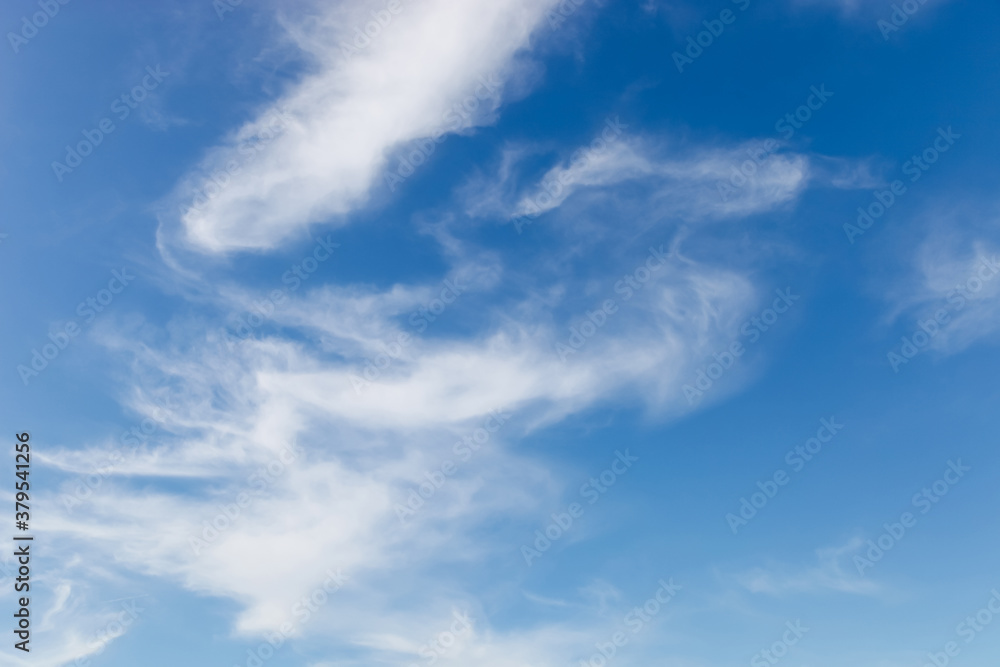 Fototapeta premium nature background. white clouds over blue sky