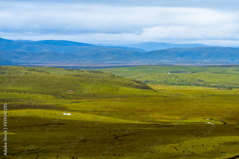Obraz premium The hills and ranch landscape in Ruoergai Grassland, in Sichuan, China.
