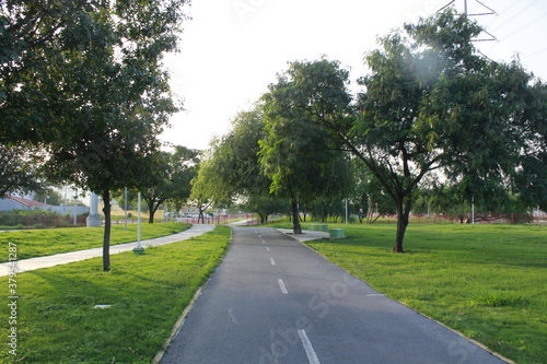 alley in the park