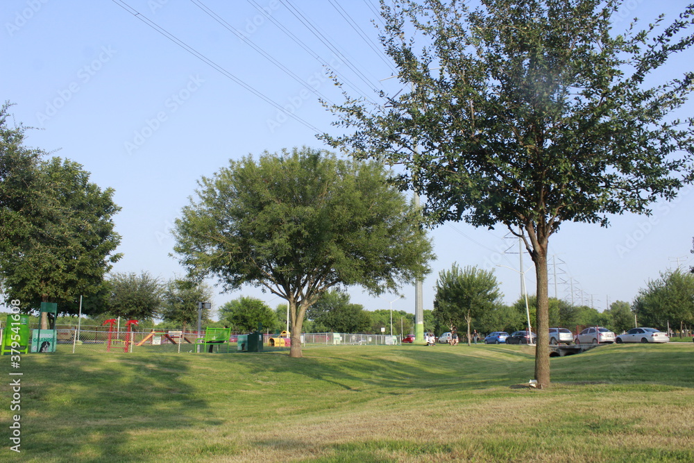 Fototapeta premium children playing in the park