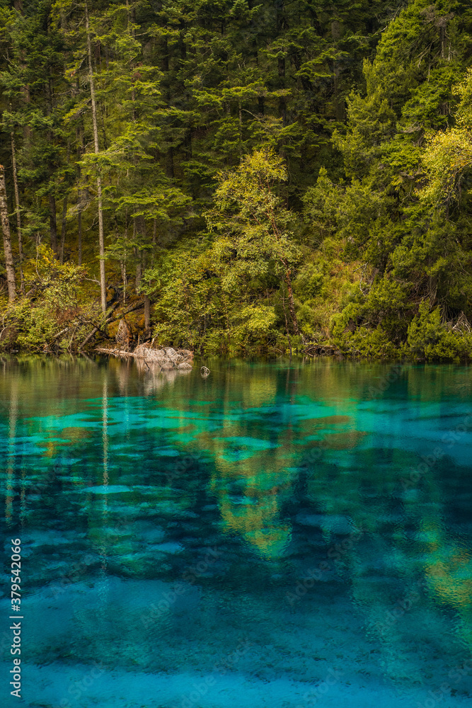 The beautiful turquoise water in ,lakes with forest in Jiuzhai Valley, in Sichuan, China, summer time. The beautiful turquoise water in ,lakes with forest in Jiuzhai Valley, in Sichuan, China, summer time.