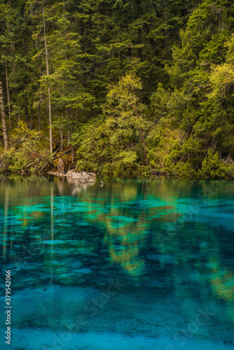 The beautiful turquoise water in ,lakes with forest in Jiuzhai Valley, in Sichuan, China, summer time.