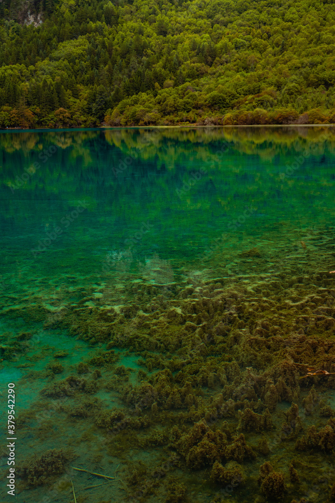 The beautiful turquoise water in ,lakes with forest in Jiuzhai Valley, in Sichuan, China, summer time. The beautiful turquoise water in ,lakes with forest in Jiuzhai Valley, in Sichuan, China, summer time.