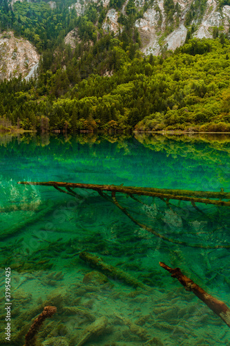 Fototapeta Naklejka Na Ścianę i Meble -  The beautiful turquoise water in ,lakes with forest in Jiuzhai Valley, in Sichuan, China, summer time.