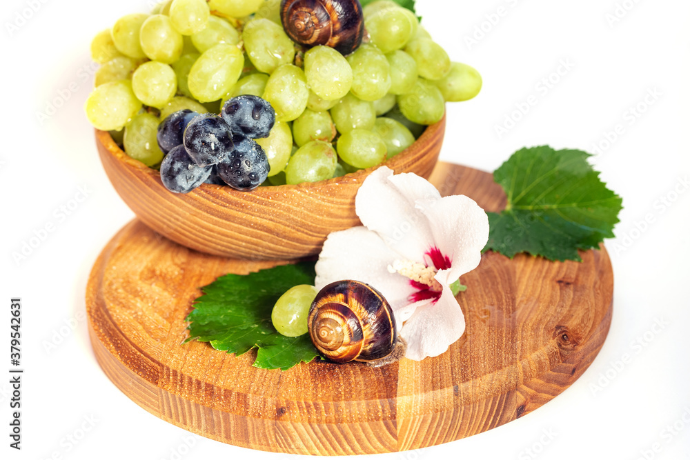 A snail and a bunch of grapes with hibiscus color on a wooden board. White background.