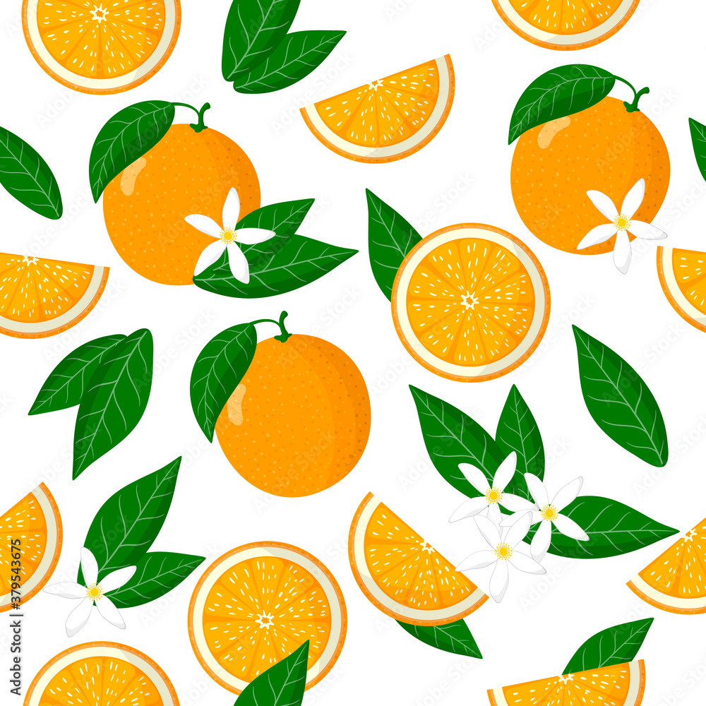 Vector cartoon seamless pattern with Citrus sinensis or Orange exotic fruits, flowers and leafs on white background Vector cartoon seamless pattern with Citrus sinensis or Orange exotic fruits, flowers and leafs on white background