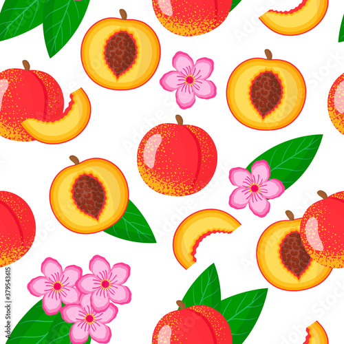 Vector cartoon seamless pattern with Prunus persica or Nectarine exotic fruits, flowers and leafs on white background
