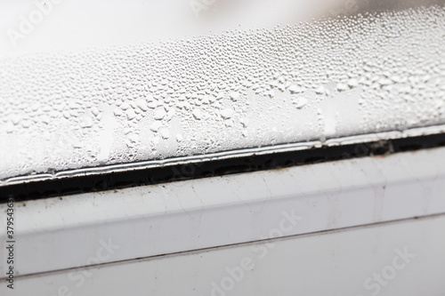 mold on a foggy plastic window of white color.
