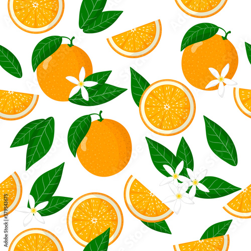 Vector cartoon seamless pattern with Citrus sinensis or Orange exotic fruits, flowers and leafs on white background
