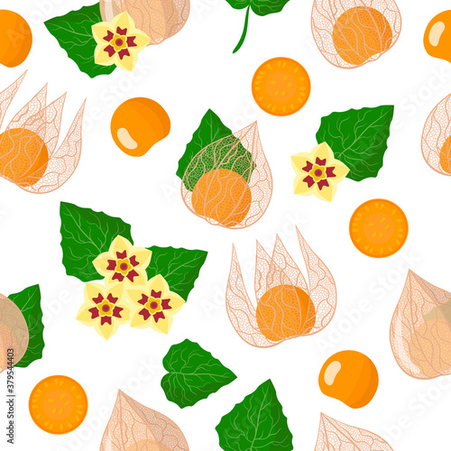 Vector cartoon seamless pattern with Physalis peruviana exotic fruits  flowers and leafs on white background