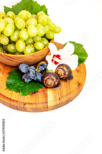 A snail and a bunch of grapes with hibiscus color on a wooden board. White background.