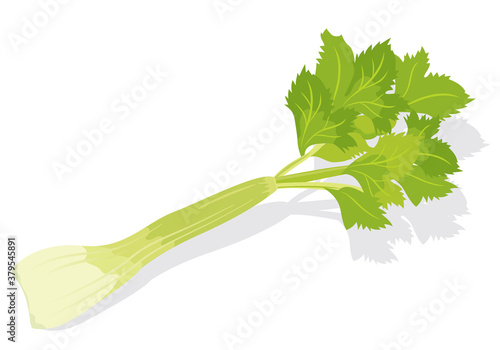 野菜_ セロリ